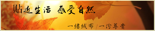 一縷絨布，一份尊貴